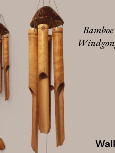 Diverse producten die binnen zijn en spoedig onnline