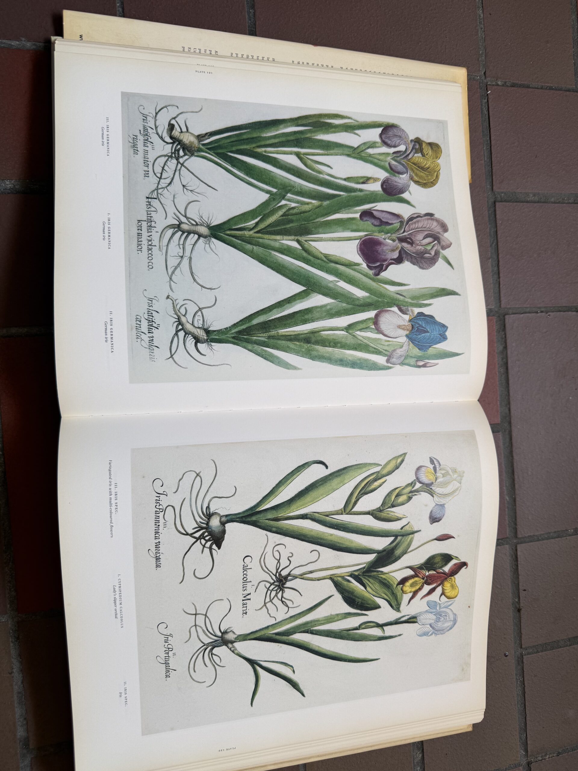 The Garden at Eichstätt artnr.39333 - Afbeelding 4