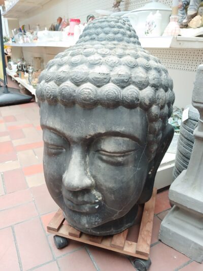 Boedha hoofd art.nr 40619
